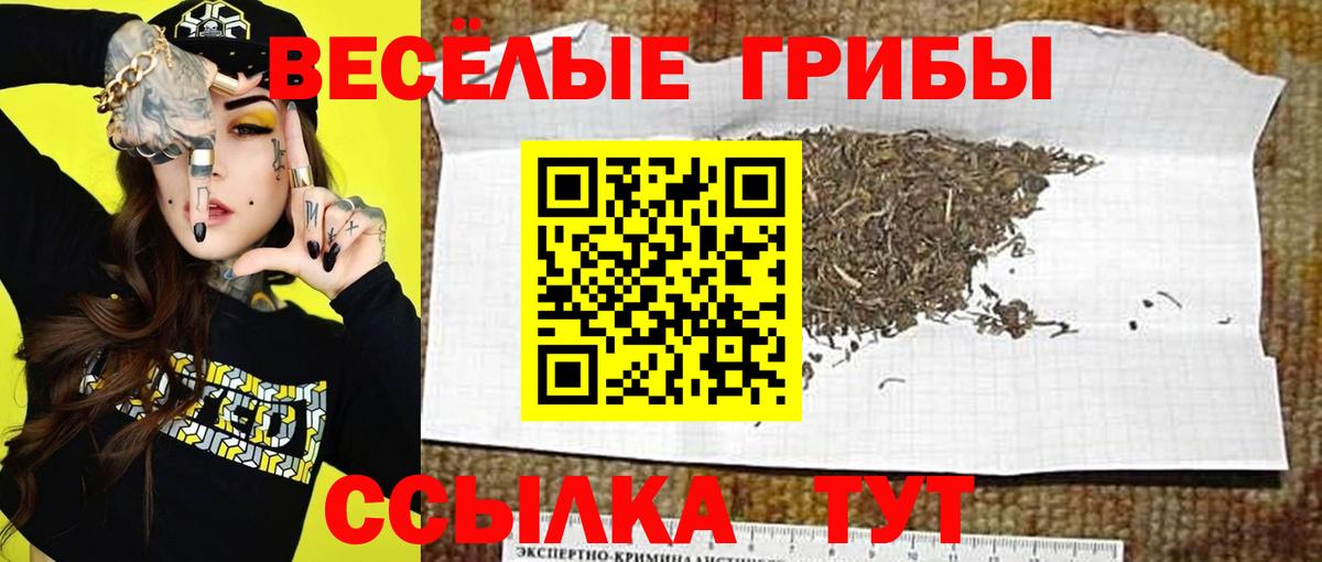 Галлюциногенные грибы Cubensis Славянск-на-Кубани