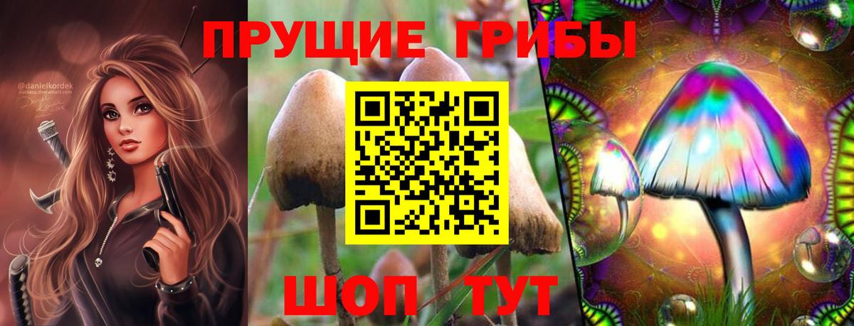 Галлюциногенные грибы мицелий  Псилоцибиновые грибы Magic Shrooms  Вход с VPN  Славянск-на-Кубани 